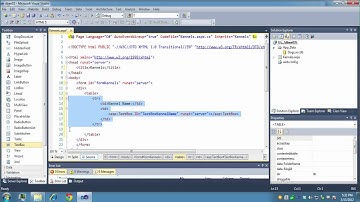 VS2010 Insert Data - Part 1