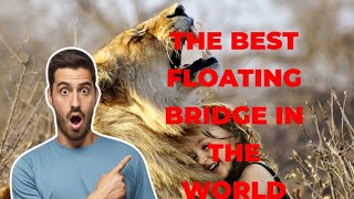 Exploring the World's Best Floating Bridge | A Must-Visit Bucket List Destination!