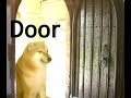 Dorime meme but it’s just door