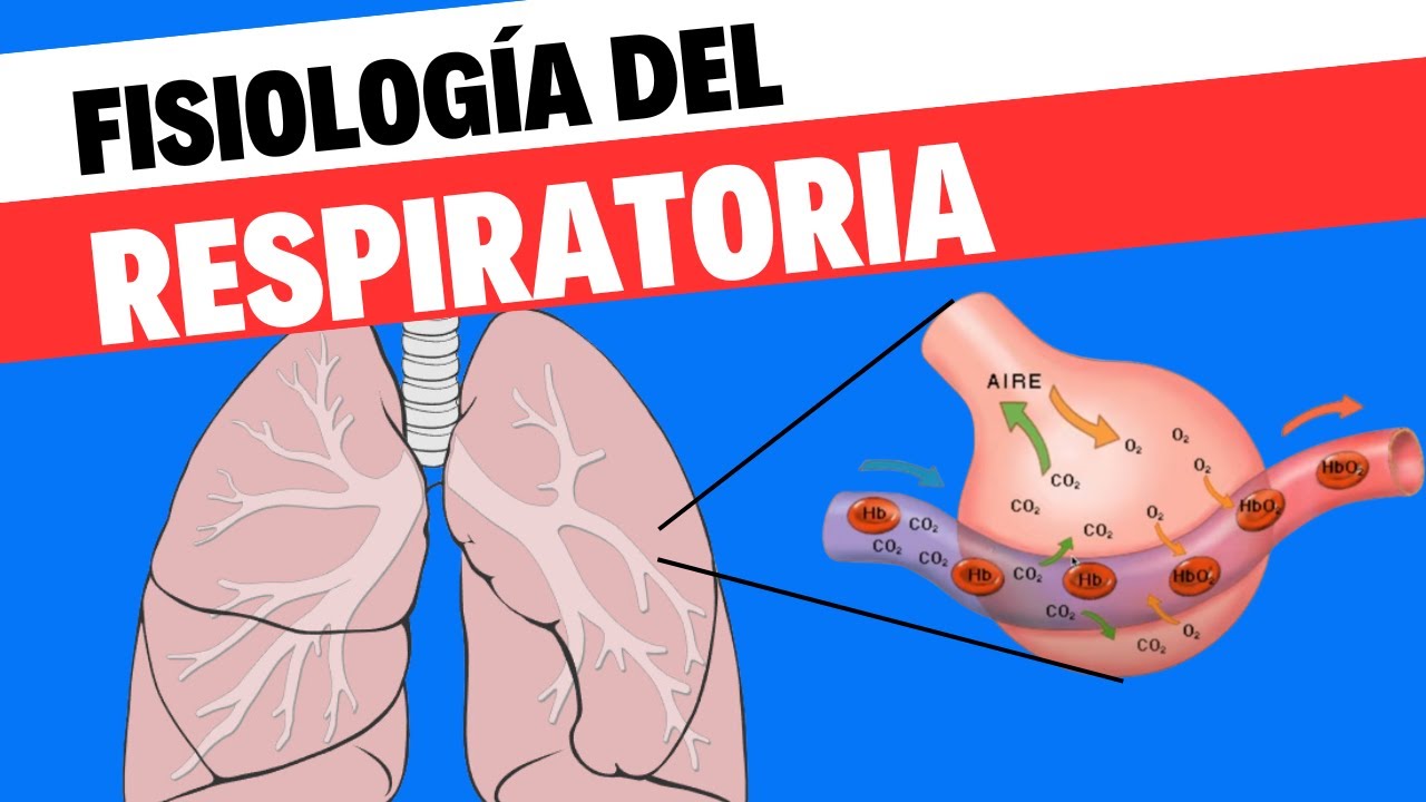 Gases intestinales y aumento de peso