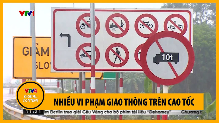 Tra cứu lỗi vi phạm giao thông theo bằng lái năm 2024