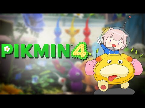 video thumb