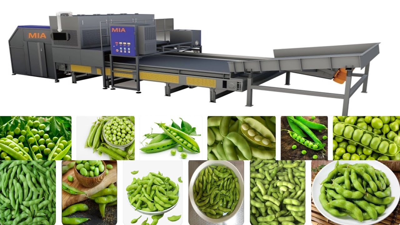 Green Pea Color Sorting Machine Manufacturers Wholesale Price In India ...