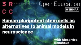 Human pluripotent stem cells as alternatives to animal models in neuroscience by Alexandra Benchoua