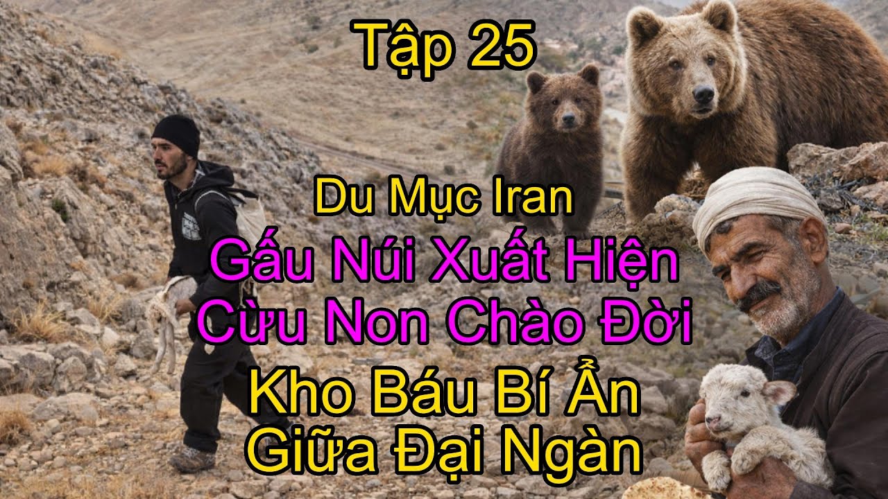 Du Mục Iran Tập 25: Gấu Núi Xuất Hiện, Cừu Non Chào Đời Giữa Núi Rừng