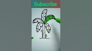 easy banana tree #drawing #speeddrawing #art #artskills #artdrawingeasy #quickdrawing #drawingskill