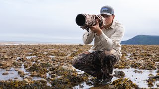 THOUSANDS of Shorebirds | Bird Photography in New Brunswick