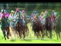 人間模様   cover