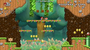 Newer Super Mario Bros Wii Low% Run - 1-2 Yoshi Woods