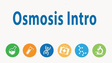 Osmosis with potatoes