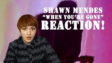 SHAWN MENDES LEFT ME WITH A LOT TO SAY... **WHEN YOU
