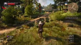 Witcher 3 -Wraith attempt-