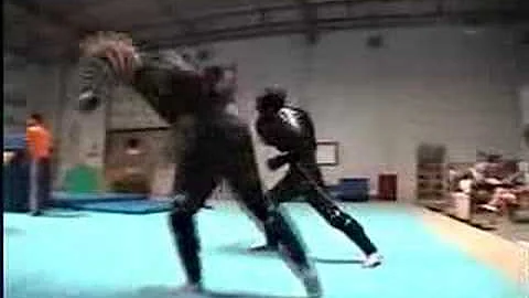 Larry Leong stunt reel
