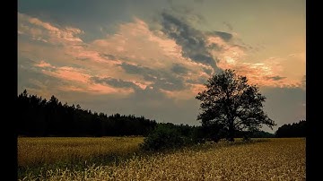 تلاوة من سورة الحاقة  فَإِذَا نُفِخَ فِي الصُّورِ نَفْخَةٌ وَاحِدَةٌ