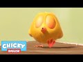 Where's Chicky? Funny Chicky 2020 | LEARN TO WHISTLE | Chicky Cartoon in English for Kids