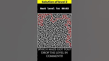 Can You Solve 4 Hard Maze Puzzles in 2 Minutes? 🧩🧠