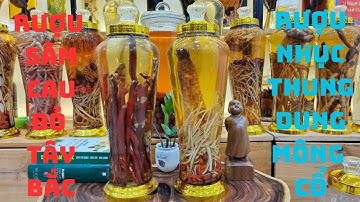 Bộ đôi rượu sâm cau và nhục thung dung tốt cho quý ông giá tốt - Sàn rượu quý 365