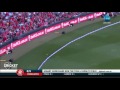 Bbl melbourne renegades vs hobart hurricanes amazing record run chase