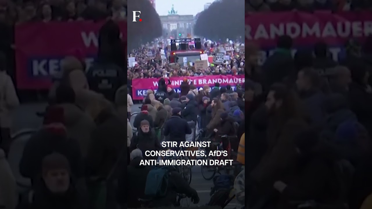 Germany: Protest In Berlin Over Proposed Immigration Crackdown | N18G