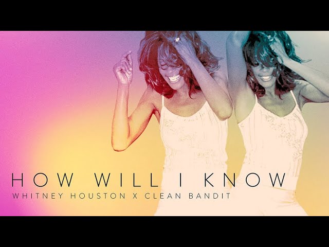 ホイットニー・ヒューストン　How Will I Know　貴重リミックス CD ホイットニー・ヒューストン How Will I Know 貴重リミックス CD