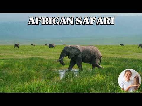 Lets go on a Safari in Tanzania! Highlights from our incredible experience 