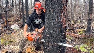 WE MADE IT! Nova Scotia, cuttin’ a burnt forest down