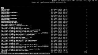 Gento Linux, Installation Ep 2: The Base System