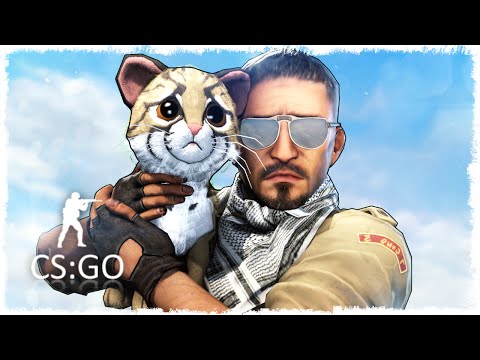 Видео: ГИГАНТСКИЙ КОТ В CS:GO - МАНЬЯК КС:ГО! #82