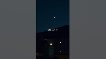 #قران_كريم #قرآن #تلاوات #تلاوة #تلاوة_خاشعة #سورة #ياسر_الدوسري