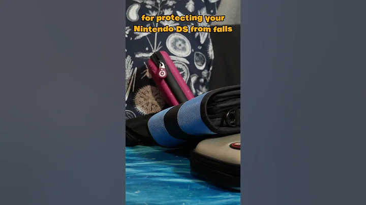 Strange Nintendo DS Carry Cases