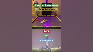 Duck vs Hypershock  🤖Beakshocked🤖  Hexbug Battlebots  #hexbugbattlebots #hexbugvideos #battlebots