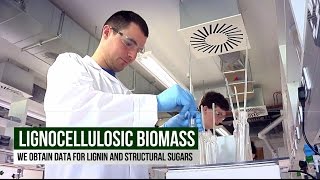Biomass Analysis Techniques - Celignis Biomass Analysis Laboratory