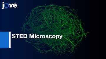 STED Microscopy for Visualizing Acting and Microtubule Cytoskeleton | Protocol Preview