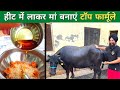 पशु को हीट में लाने का पक्का इलाज👍 Heat Problem Solution cow Buffalo Kaise laaye Pashu Ko Heat mein