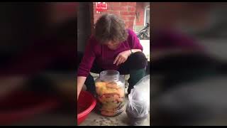 醃製哈密瓜