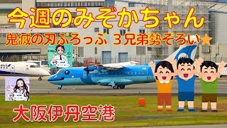 [Osaka Itami Airport] This week's Mizoka 2023.11.11 Demon Slayer Prop 3 Brothers