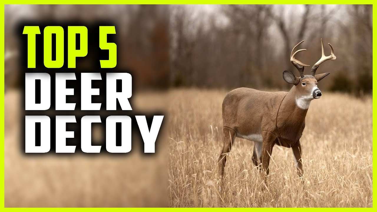 Best Deer Decoy in 2023 Top 5 Deer Decoy Reviews