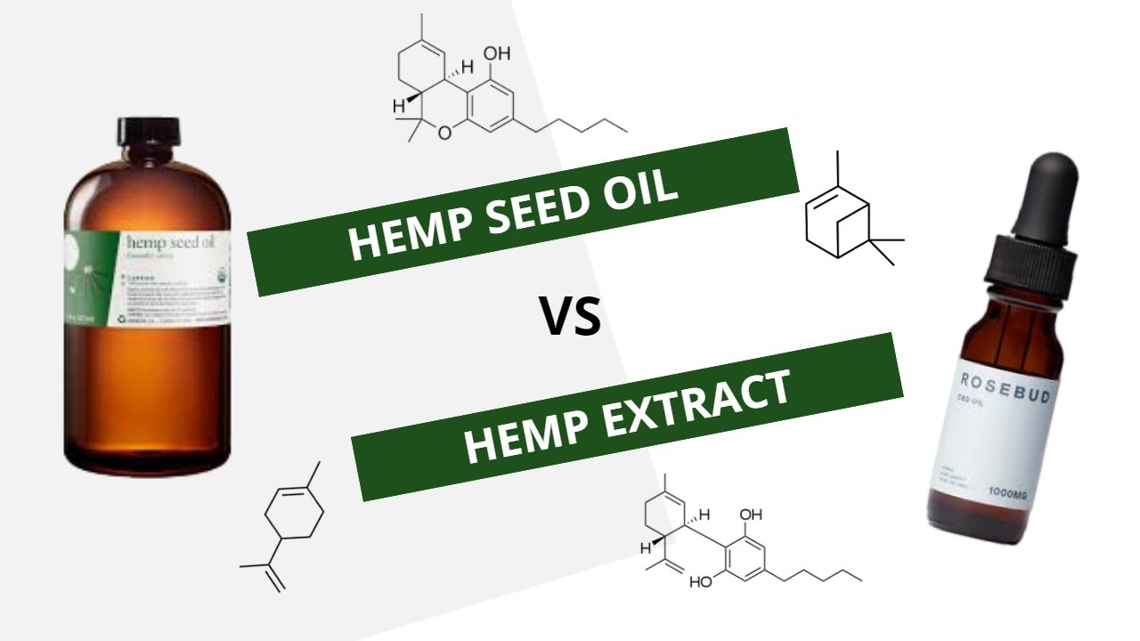 Hemp Seed Oil vs. Hemp Extract. What's the difference? YouTube