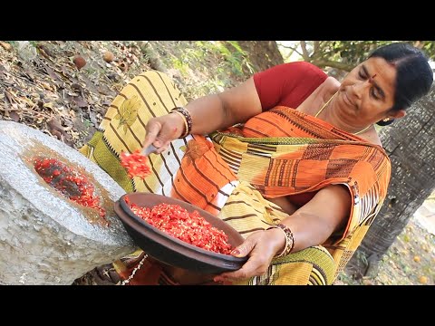 పక్కా కొలతలతో పండు మిరపకాయ నిల్వ పచ్చడి || Pandu Mirapakaya Pachadi | Myna Street Food