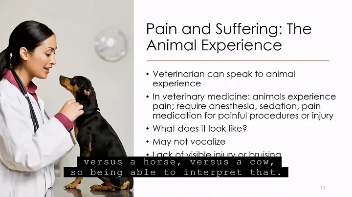 Animal Cruelty & Interpersonal Violence: Veterinary Forensics and Evidence