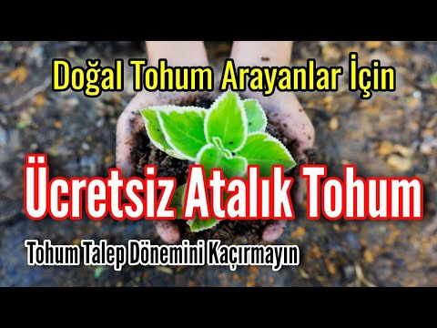 Video: Tohum Takası Nasıl Düzenlenir – Topluluğunuzda Tohum Takası Barındırma