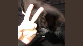 Be Real & Dont Be A Ho