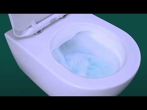 What are Rimless Toilets?