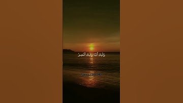 #القرانالكريم #quran #reels #fypシ #سبحان_آلله #قرآن #قراءة_خاشعة #تلاوات #راحة_نفسية #القدس #فلسطين