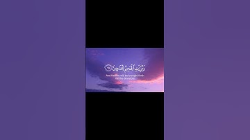 سورة الشعراء من الآية 88 إلى الآية 93 | #quran #اكسبلور #قرآن #explore