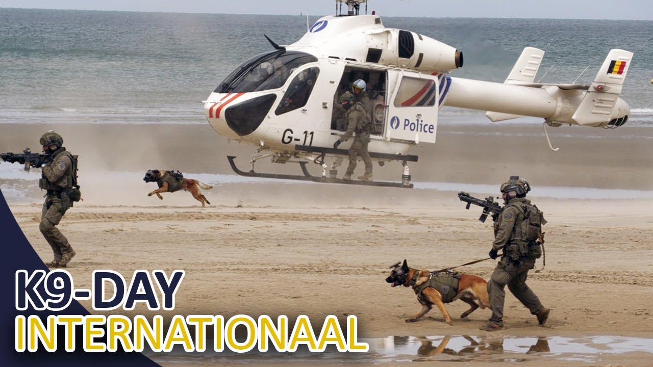 Politie | International k9 day | Police | België | Speurhonden | surveillancehonden
