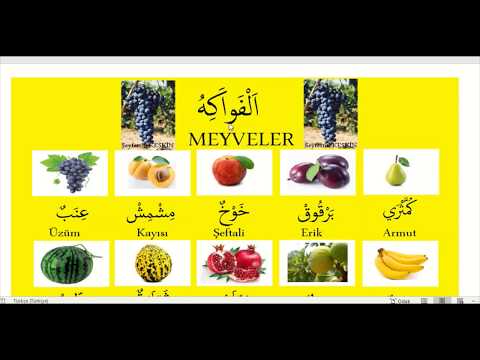 ARAPÇADA MEYVELER ( الفواكه )