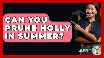 Can You Prune Holly In Summer? - LearnToDIY360.com