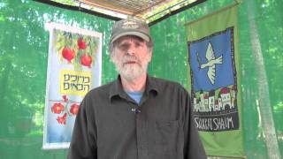 The Sukkah Project™ - Sukkah Decorations