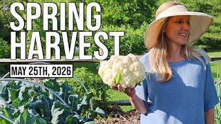 Harvest Day in the Vegetable Garden | Tips, Tricks & Recipes